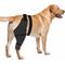 Show in main carousel: Supet Dog Rear Right Leg Recovery Sleeve for Dogs, X-Large slide 1 of 9