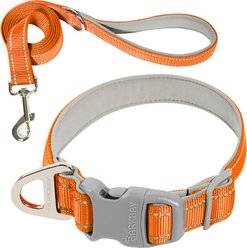 BARKBAY Adventure Nylon with Soft Neoprene Lining & Reflective Trim Dog Collar & Leash Set, Orange, Large: 18 to 25-in neck, 1-in wide