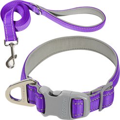 BARKBAY Adventure Nylon with Soft Neoprene Lining & Reflective Trim Dog Collar & Leash Set, Purple, Large: 18 to 25-in neck, 1-in wide