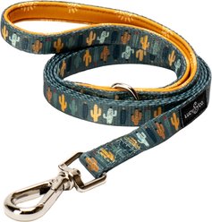 Lucy & Co. Looking Sharp Cat Leash, Large: 5-ft long, 5/8-in wide