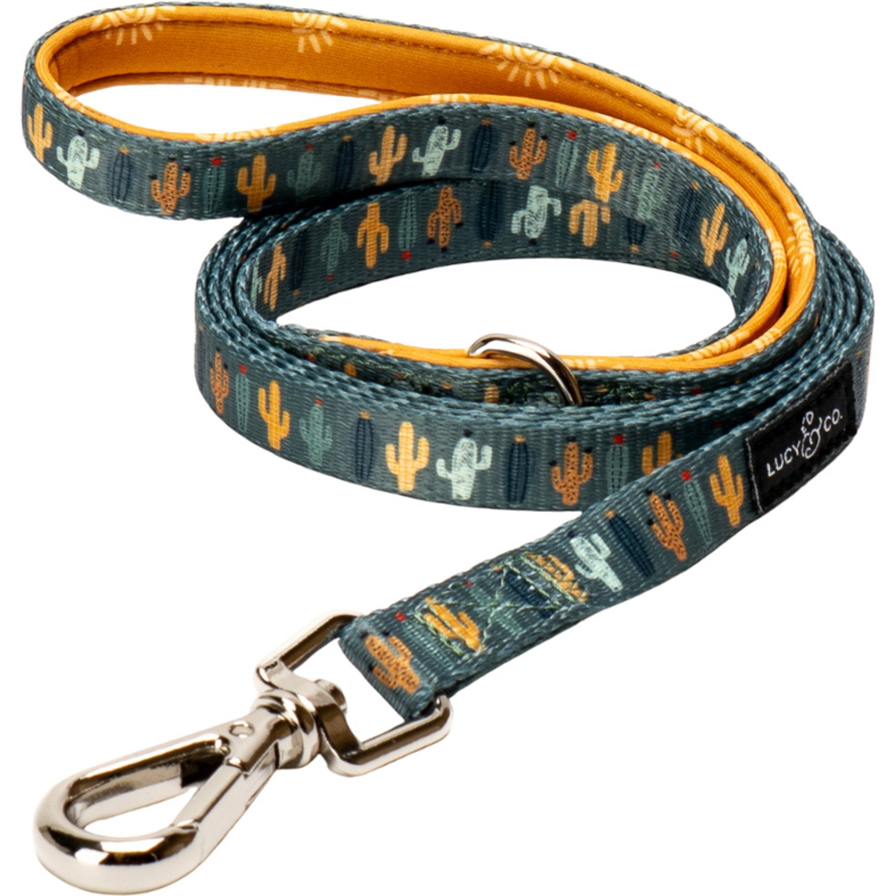 Lucy & Co. Looking Sharp Cat Leash, Small: 5-ft long, 3/8-in wide