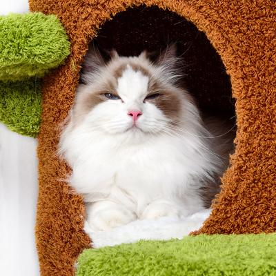 Show full view: Wisfor Modern Multi Condo Scratching Post Boho Cat Tree Tower, Green, 24.02 x 58.27-in slide 7 of 9