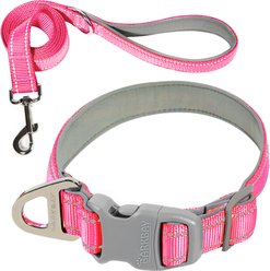 BARKBAY Adventure Nylon with Soft Neoprene Lining & Reflective Trim Dog Collar & Leash Set, Pink, Large: 18 to 25-in neck, 1-in wide