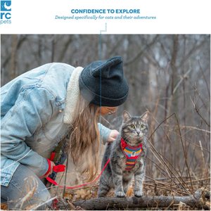 RC Pets Adventure Kitty Reflective Cat Harness & Leash, Teal, Medium: 13 to 18-in chest