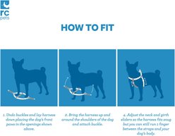 RC Pets Primary Step In Dog Harness, Confection, X-Large: 28 to 40-in chest slide 2 of 6