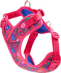 RC Pets Petite Explorer Dog Harness, Frida, XX-Small: 8 to 12-in chest