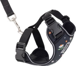 RC Pets Adventure Kitty Reflective Cat Harness & Leash, Daisies, Large: 15 to 22-in chest