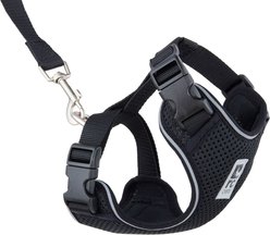 RC Pets Adventure Kitty Cat Harness, Black, Large: 15 to 22-in chest