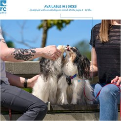 RC Pets Petite Primary Step In Dog Harness, Jelly Bean, Small: 13 to 18-in chest slide 2 of 8