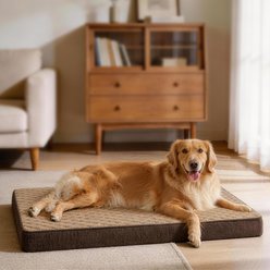Invenho Egg Crate Foam Orthopedic Pillow Dog Bed Mat with Removable Washable Cover, Brown, XX-Large: 47 x 29 x 4-in