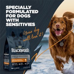 Blackwood Sensitive Skin & Stomach Adult Lamb Meal & Brown Rice with Ancient Grains Dry Dog Food, 24-lb bag slide 2 of 9