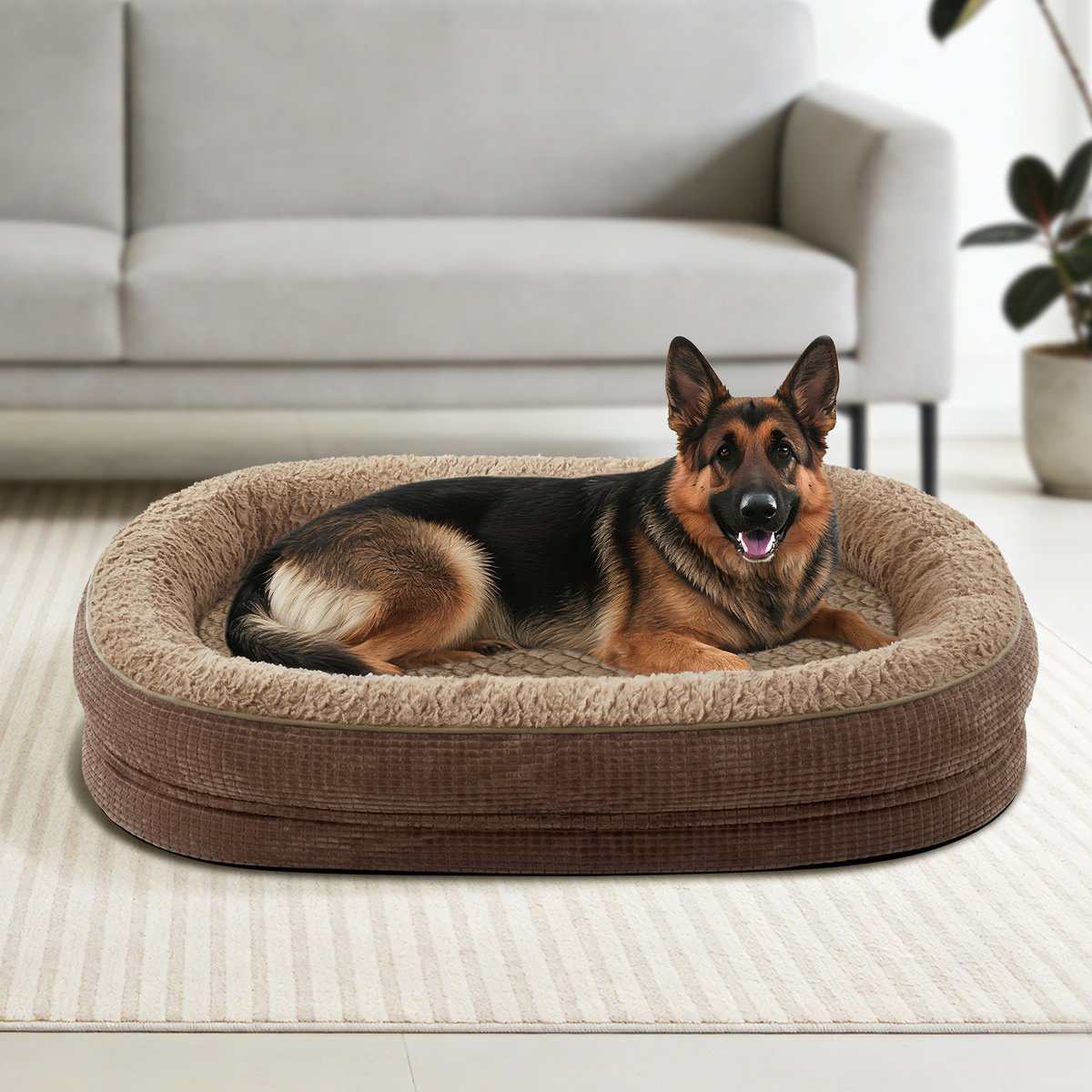 Invenho Oval Memory Foam Orthopedic Bolster Dog Bed with Removable Washable Cover, Brown, XX-Large: 48 x 35 x 7.5-in