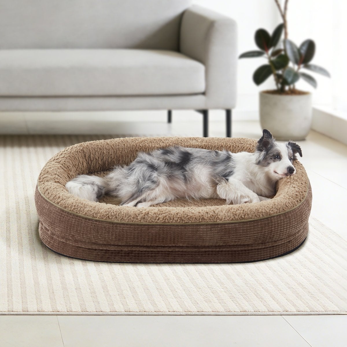 Invenho Oval Memory Foam Orthopedic Bolster Dog Bed with Removable Washable Cover, Brown, Large: 35 x 25 x 7-in