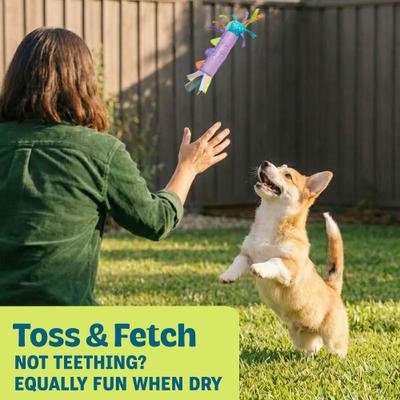 Show full view: Pupstages Cool Teething Stick Tough Dog Chew Toy slide 6 of 10