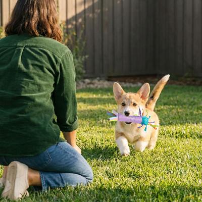 Show full view: Pupstages Cool Teething Stick Tough Dog Chew Toy slide 7 of 10