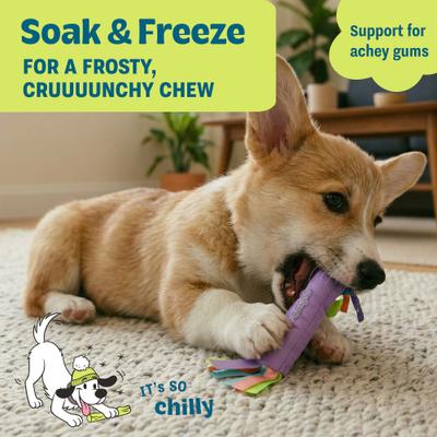 Show full view: Pupstages Cool Teething Stick Tough Dog Chew Toy slide 5 of 10