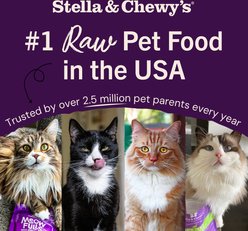 Stella & Chewy's Yummy Lickin' Salmon & Chicken Dinner Morsels Freeze-Dried Raw Cat Food, 3.5-oz bag slide 2 of 9