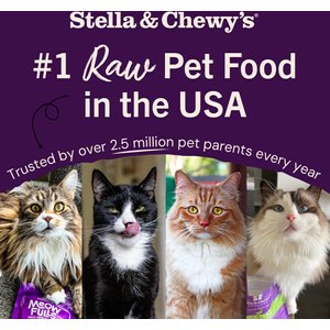 Stella & Chewy's Chick Chick Chicken Dinner Morsels Freeze-Dried Raw Cat Food, 18-oz bag