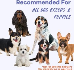 Awoo Scenic Stasher Organic Cotton Plastic-Free Treat Puzzle Dog Toy, Multicolor slide 2 of 7