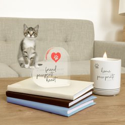 Pavilion Cat Hand Towel Set, Grey/White slide 2 of 3