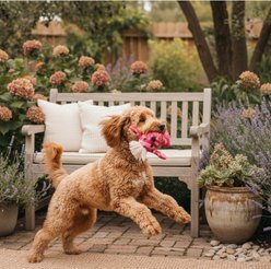 Pata Pal Pinky Tough Stuffing-Free Dog Chew Toy, Pink, 9-in slide 2 of 4