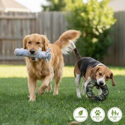 Pata Pal Labby-Do & Green Camo Disk Tough Squeaky Dog Chew Toy, Multi, 15-in, 2 count slide 2 of 4