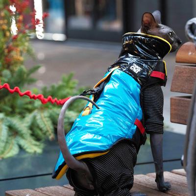 Show full view: Travel Cat The Catagonia Cat Puffer Jacket Harness, Small: 7 to 10-in neck, 13 to 17-in chest slide 7 of 9