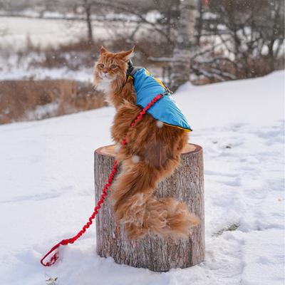 Show full view: Travel Cat The Catagonia Cat Puffer Jacket Harness, Small: 7 to 10-in neck, 13 to 17-in chest slide 6 of 9