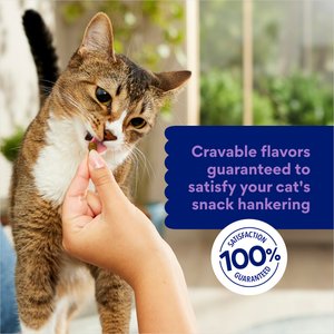 Chewy Made Catnip Flavor Filled Crunchy Cat Treats (FORMERLY TINY TIGER), 3-oz bag
