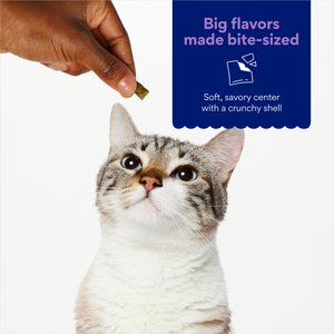 Chewy Made Catnip Flavor Filled Crunchy Cat Treats (FORMERLY TINY TIGER), 3-oz bag