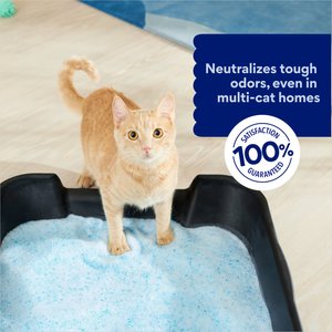 Chewy Made Micro Crystal Unscented Non-Clumping Cat Litter (FORMERLY FRISCO), 7-lb bag