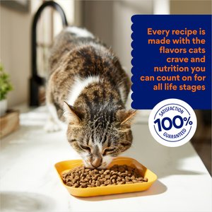 Chewy Made Turkey & Chicken Recipe Grain-Free Dry Cat Food (FORMERLY AMERICAN JOURNEY), 12-lb bag