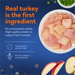 Chewy Made Turkey & Chicken Recipe Grain-Free Dry Cat Food (FORMERLY AMERICAN JOURNEY), 12-lb bag