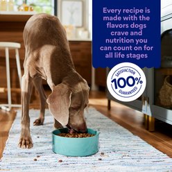 Chewy Made Complete Nutrition High Protein Grain-Free with Lamb, Venison & Beef Dry Dog Food (FORMERLY AMERICAN JOURNEY), 24-lb bag slide 2 of 8