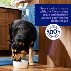 Chewy Made Complete Nutrition High Protein Grain-Free Lamb & Sweet Potato Recipe Dry Dog Food (FORMERLY AMERICAN JOURNEY), 24-lb bag slide 2 of 8