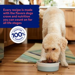 Chewy Made Complete Nutrition High Protein Grain-Free Beef & Sweet Potato Recipe Dry Dog Food (FORMERLY AMERICAN JOURNEY), 24-lb bag slide 2 of 8