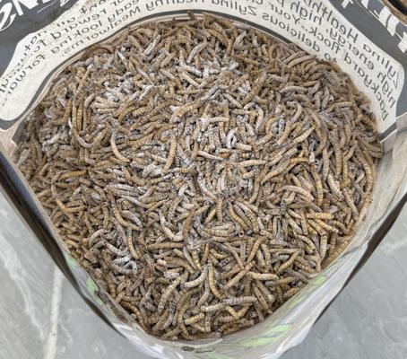 Show full view: Zylina Healthy Grubs Chicken Supplement with Probiotic Additive, 5-lb bag, 4 count slide 5 of 9