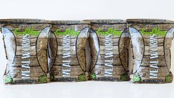 Zylina Healthy Mealworm Chicken Supplement, 5-lb bag, 4 count