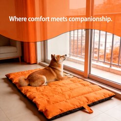 Decflow Summer & Spring Water & Moisture-Proof Dog Bed Mat for Dogs, Pink, Medium slide 2 of 6