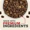 Show in main carousel: Redbarn Powerfood Digestive Health Beef & Lamb Gently Air Dried Dog Food, 32-oz bag slide 4 of 11