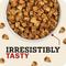 Show in main carousel: Redbarn Powerfood Digestive Health Beef & Lamb Gently Air Dried Dog Food, 32-oz bag slide 5 of 11