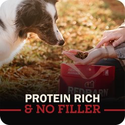 Redbarn Powerfood Healthy Puppy Chicken, Grain-Free Gently Air Dried Dog Food, 2.5-oz bag slide 2 of 9
