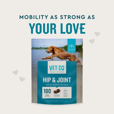 Show full view: VetIQ Hip & Joint Soft Chew Joint Supplement for Dogs, 180 count slide 3 of 12
