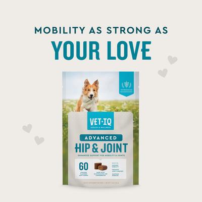 Show full view: VetIQ Advanced Hip & Joint Chicken Flavored Soft Chews Dog Supplement, 60 count bag slide 3 of 10