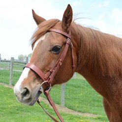 Paris Tack Classic Flat Leather English Hunt Horse Bridle with Laced Reins, Havana, Warmblood slide 2 of 6