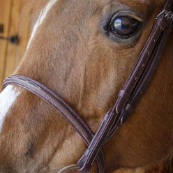 Paris Tack Fancy Stitch Raised Horse Bridle with Laced Reins, Chestnut, Full Horse slide 2 of 6