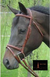 Paris Tack Square Raised Crown Padded FS Horse Bridle with Flash & Laced Reins, Chestnut, Warmblood slide 2 of 3