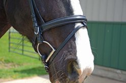Paris Tack Dressage German Crank Horse Bridle with Rubber Reins, Black, Full Horse slide 2 of 5