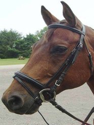 Paris Tack Opulent Series Padded Fancy Stitched Horse Bridle with Laced Reins, Chestnut, Warmblood