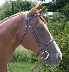 Paris Tack Opulent Series Raised Horse Bridle with Laced Reins, Chestnut, Full Horse slide 2 of 5
